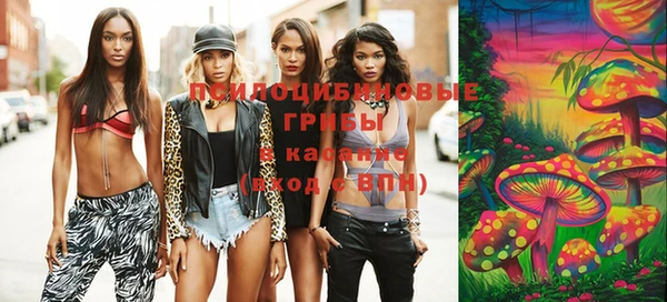 mix Гусь-Хрустальный