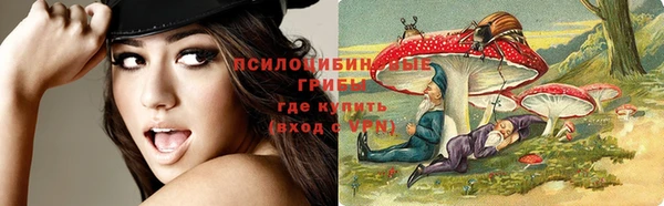 герыч Горняк